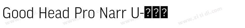 Good Head Pro Narr U字体转换 Good Head Pro Narr U字体转换